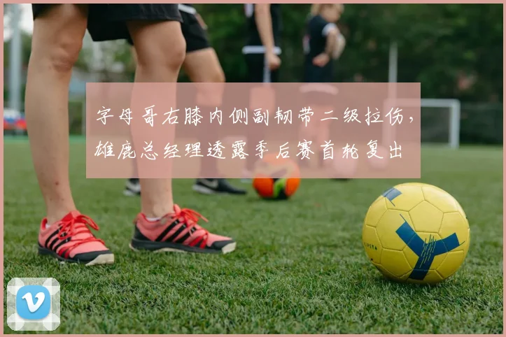 字母哥右膝内侧副韧带二级拉伤,雄鹿总经理透露季后赛首轮复出